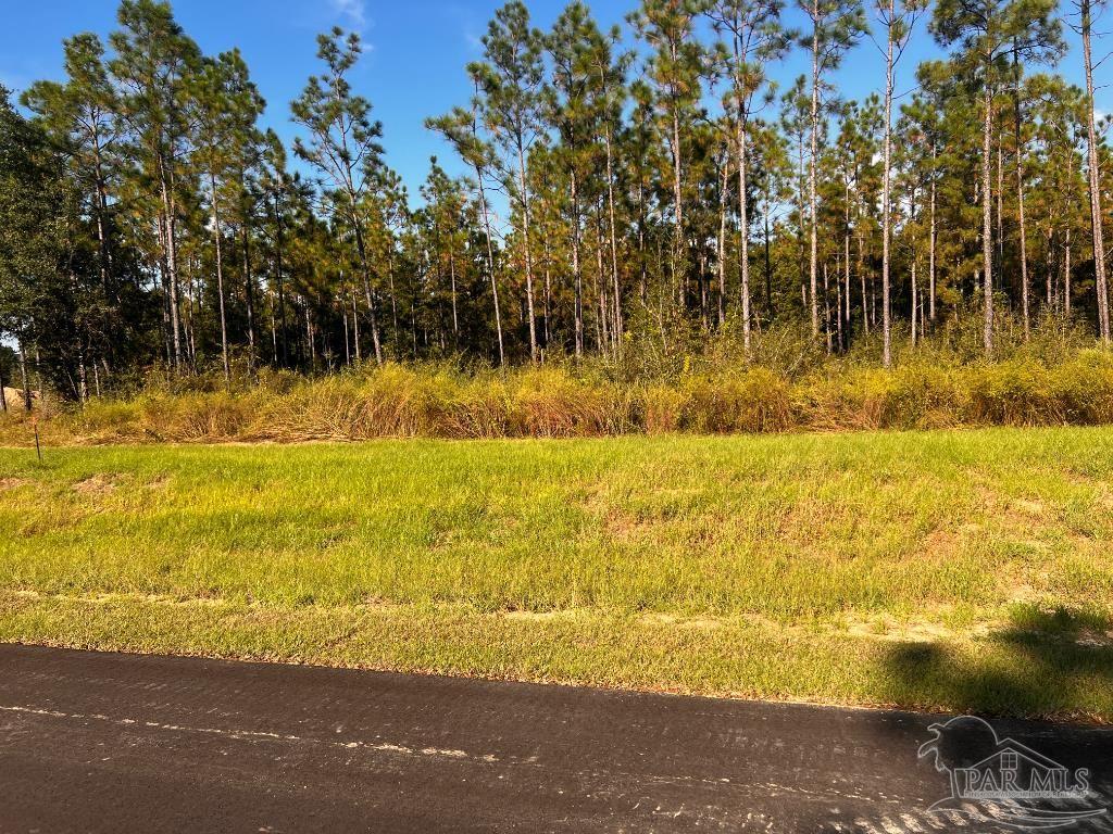 main property photo 18