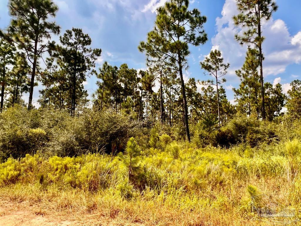 main property photo 13