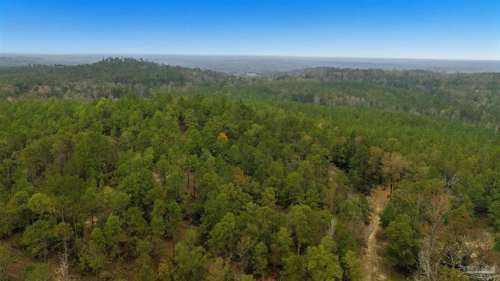 main property photo 58