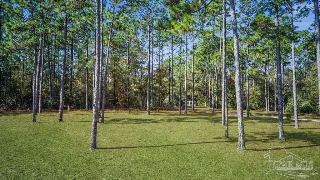 main property photo 58