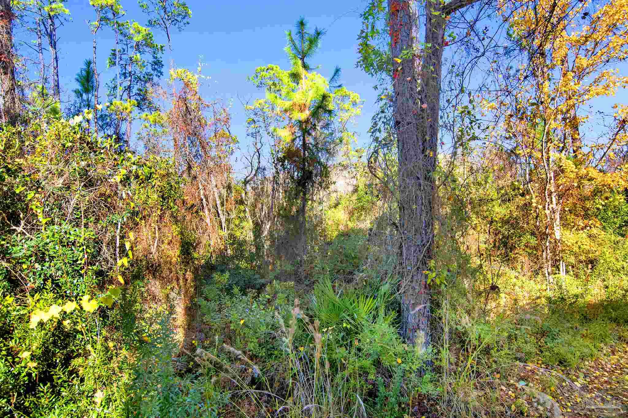 main property photo 39