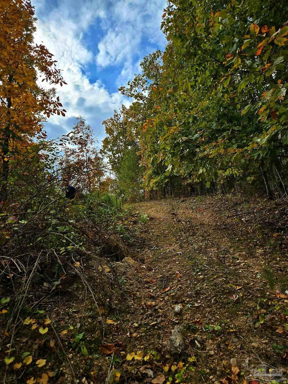 main property photo 33