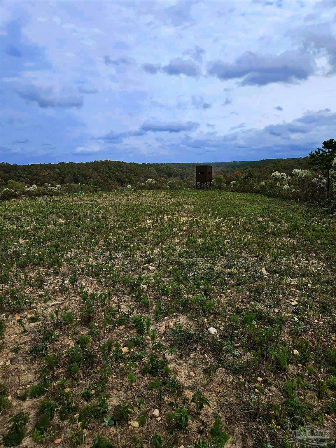 main property photo 43