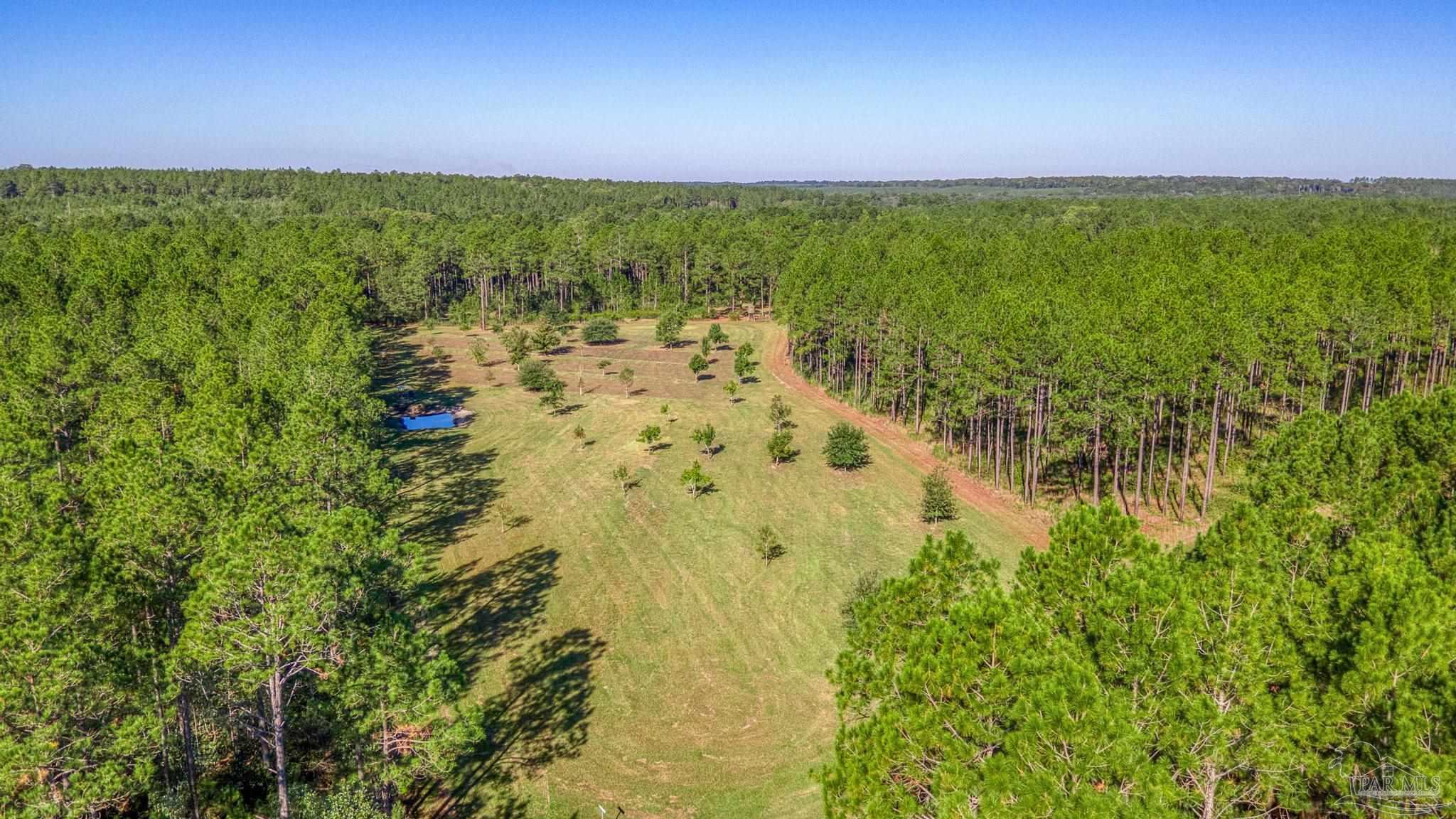 main property photo 45