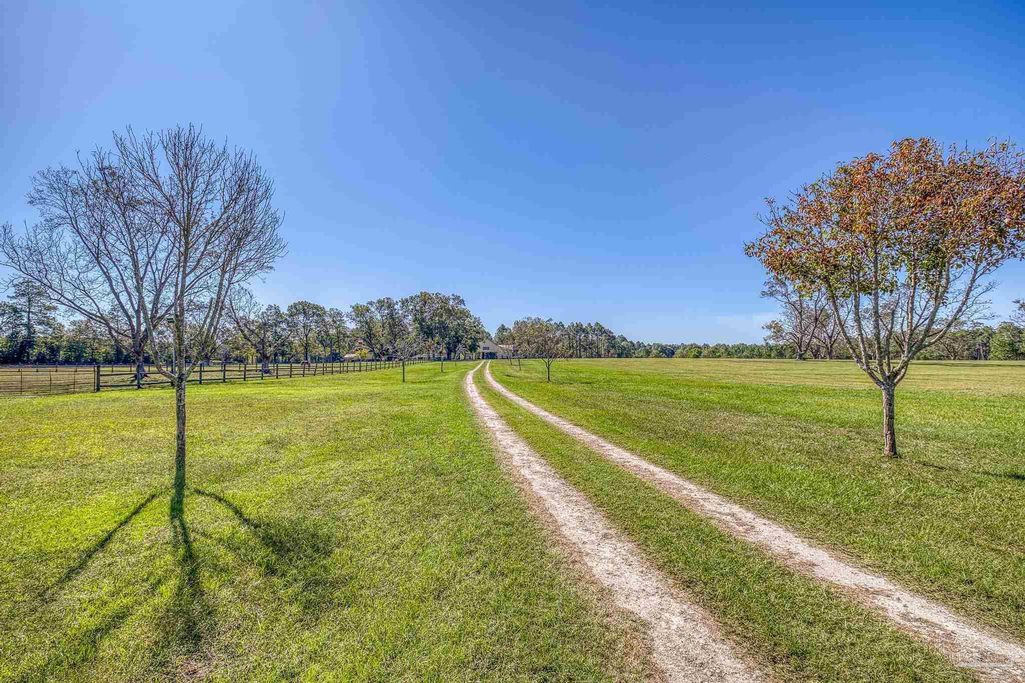 main property photo 55