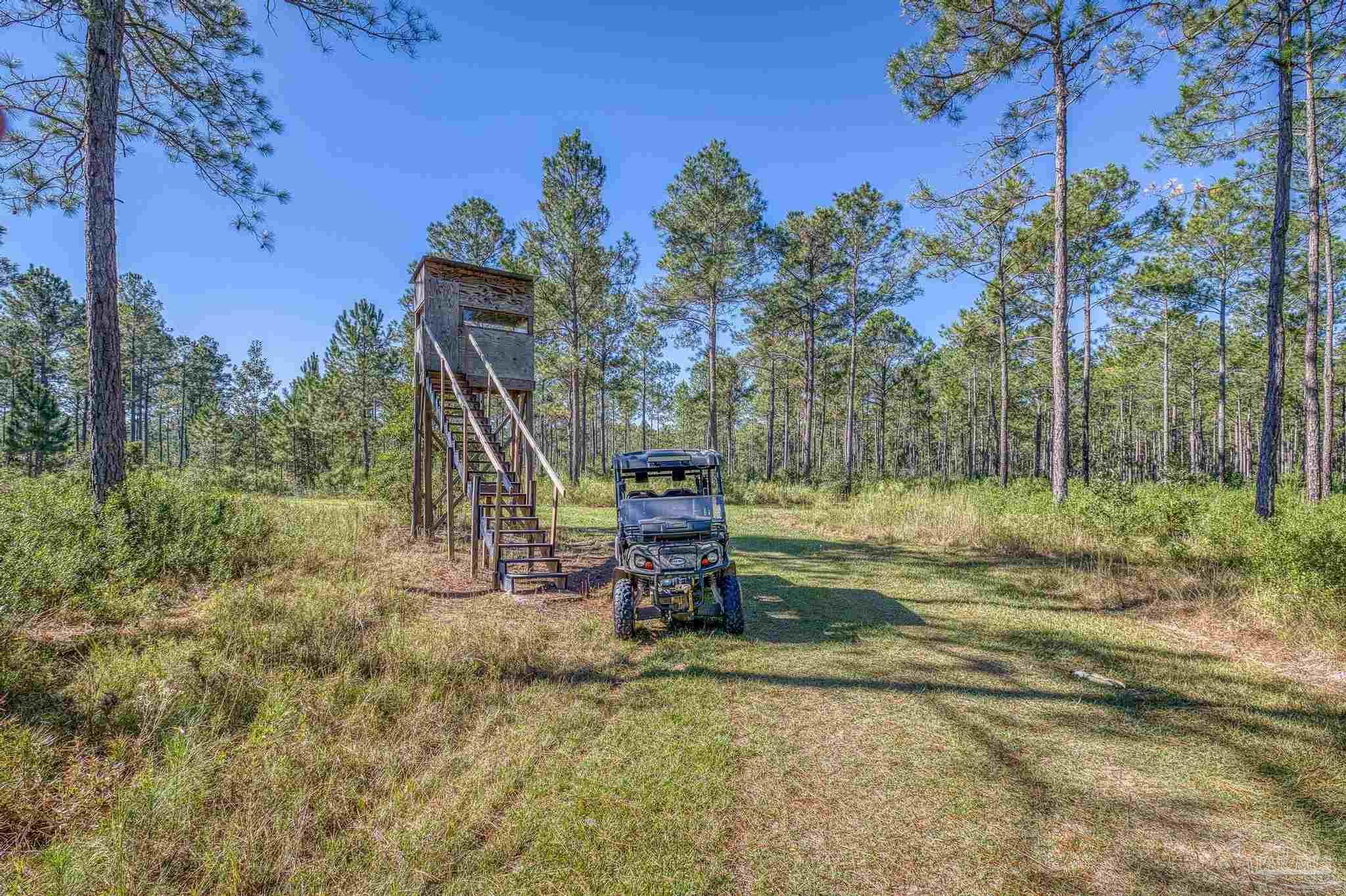 main property photo 62