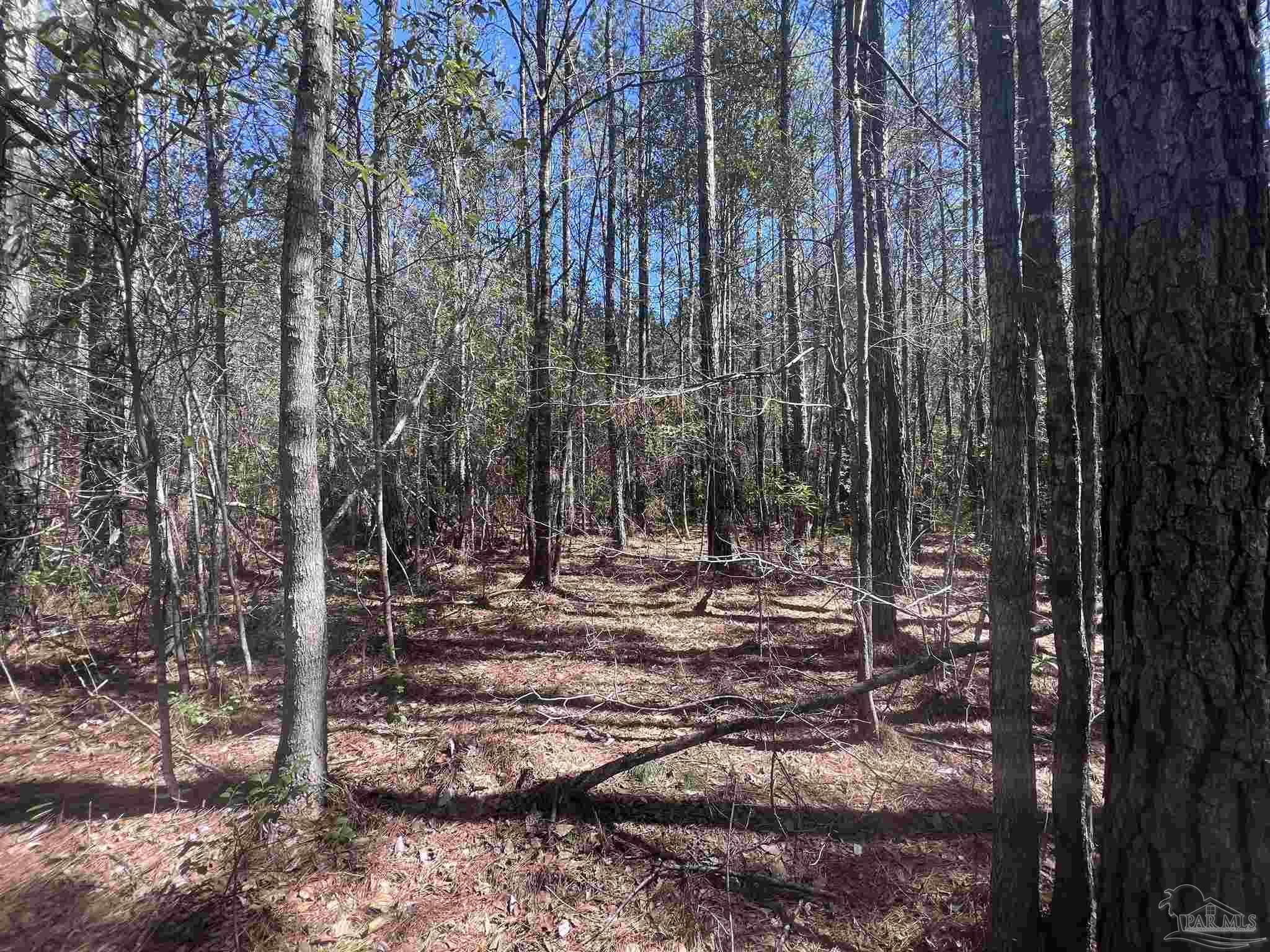 main property photo 25
