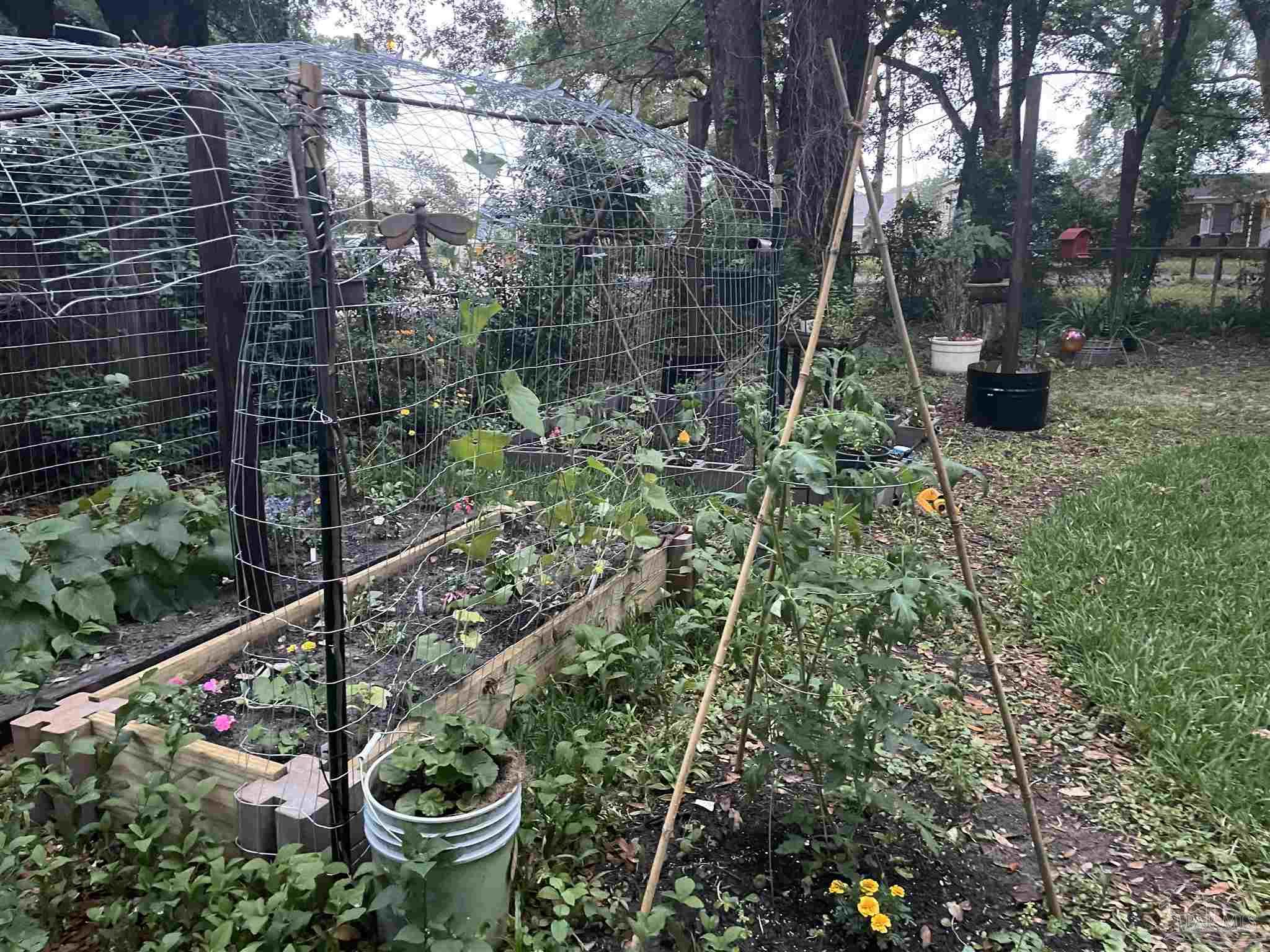 main property photo 39