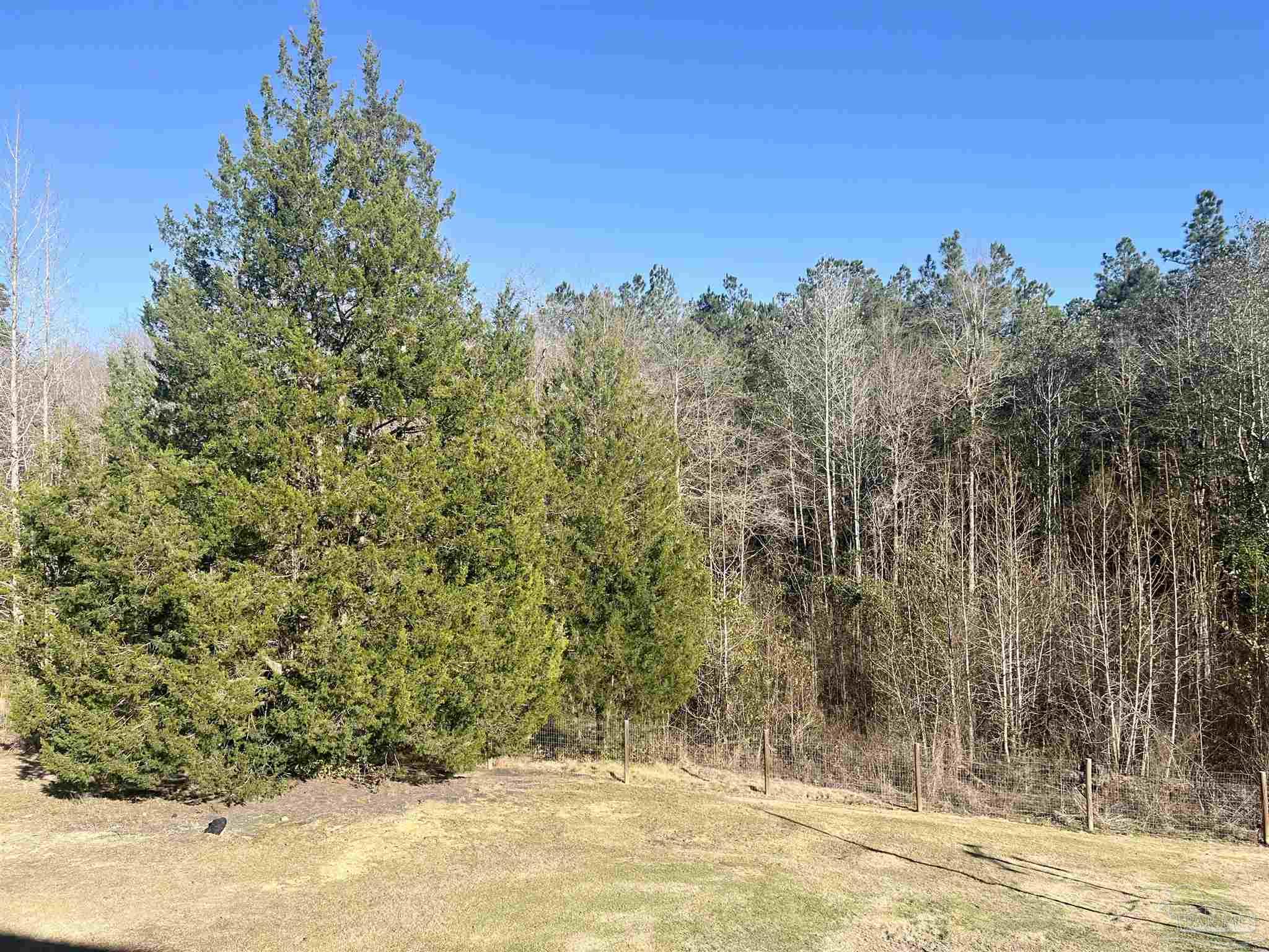 main property photo 48