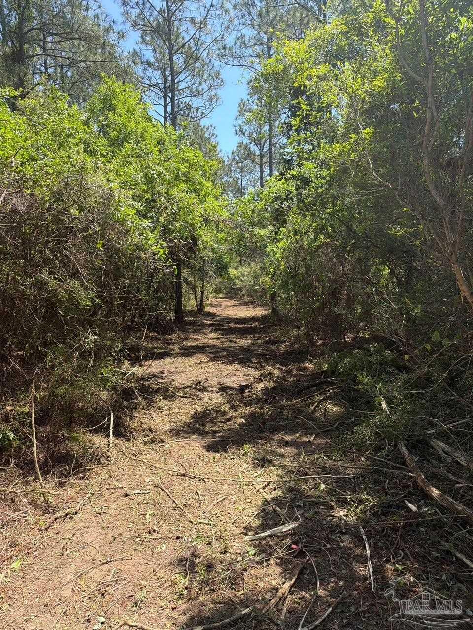 main property photo 32