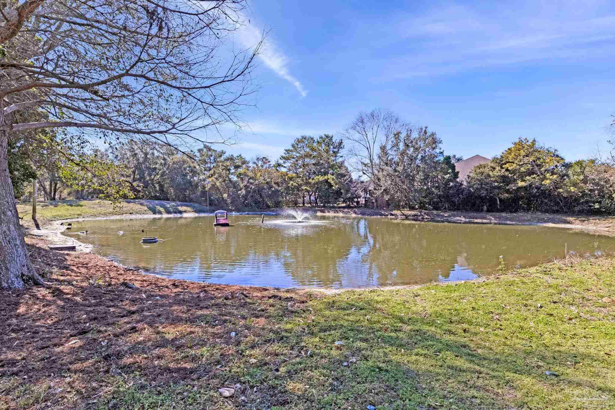 main property photo 54