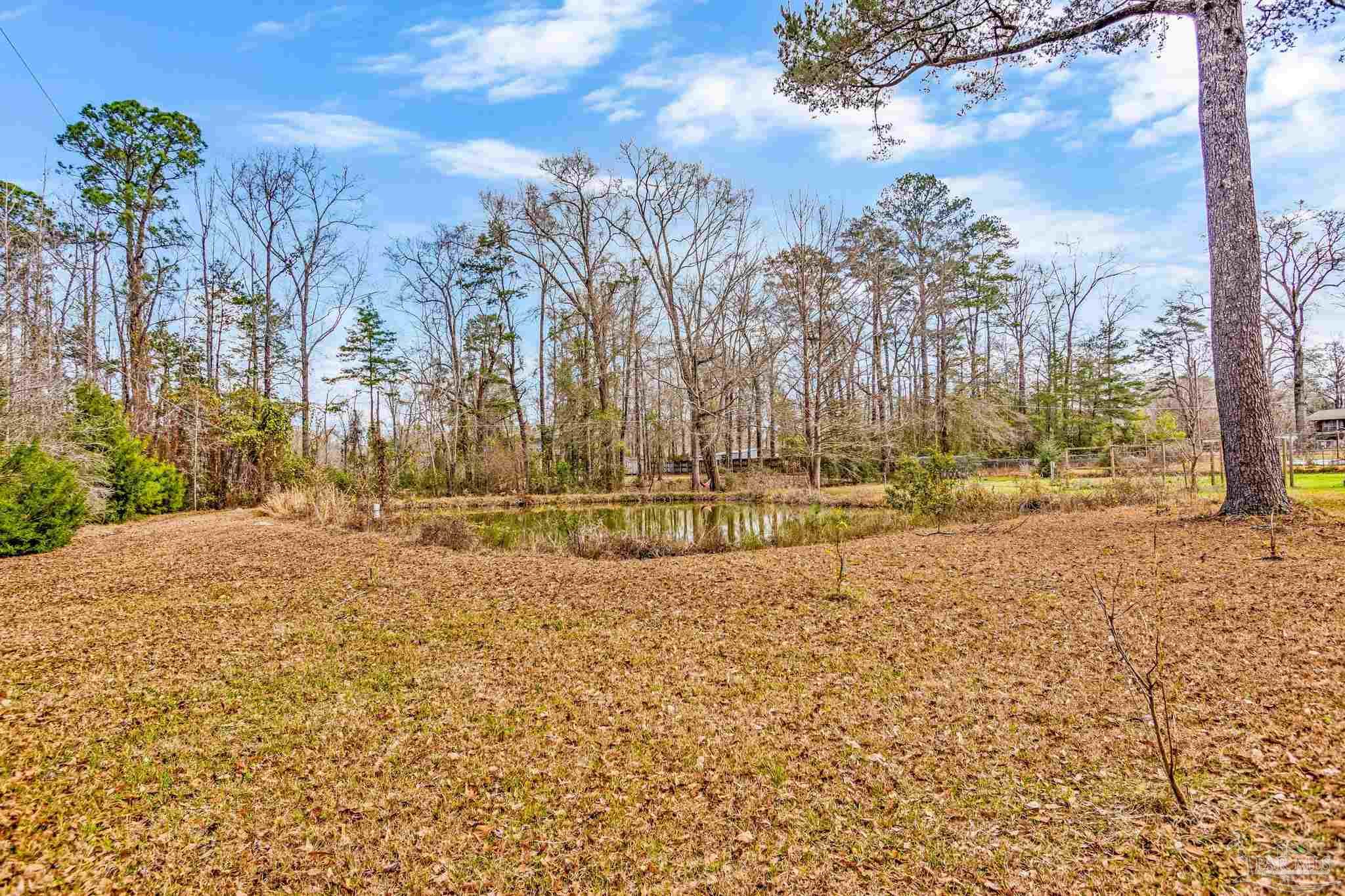 main property photo 51