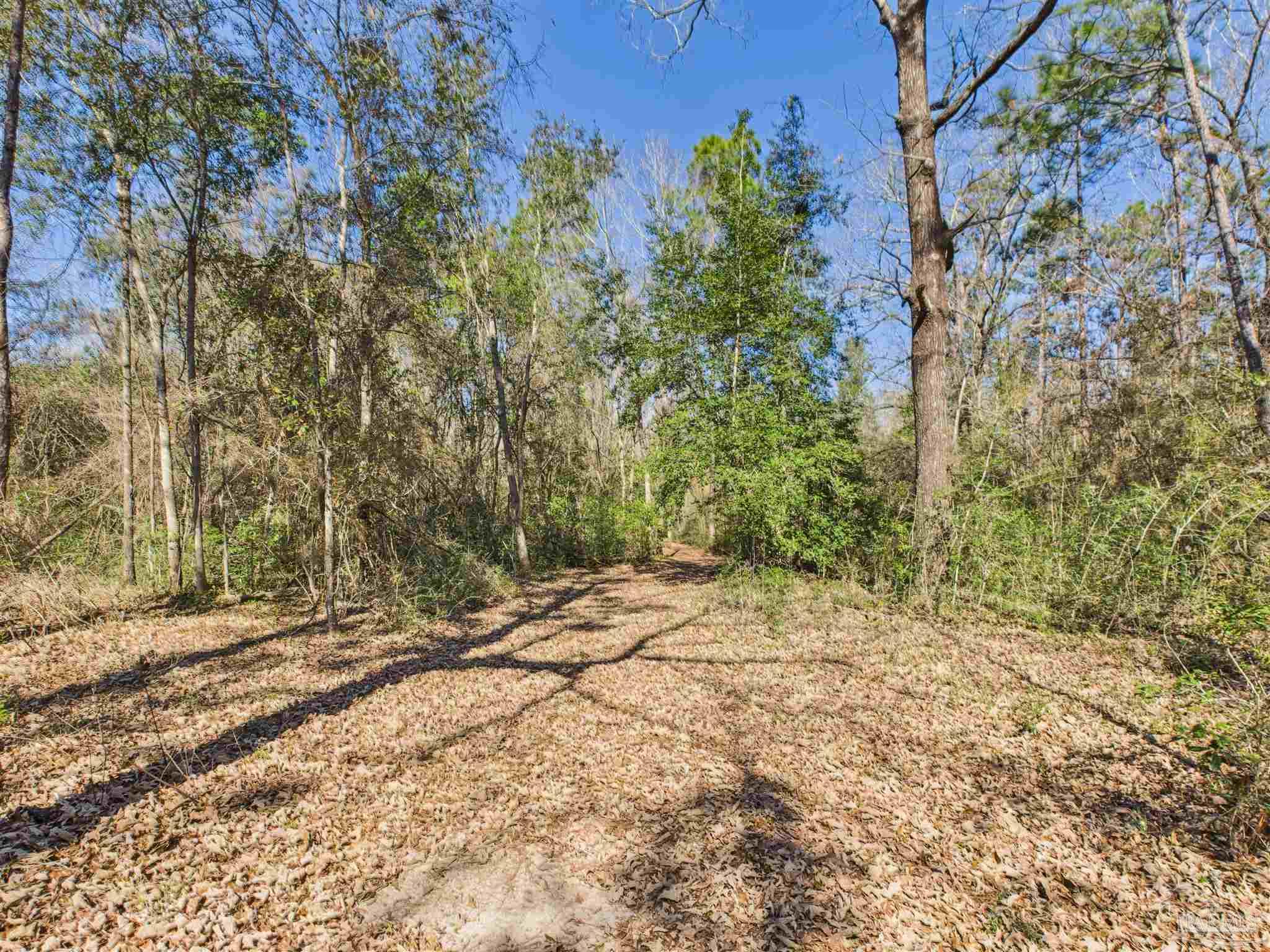 main property photo 49