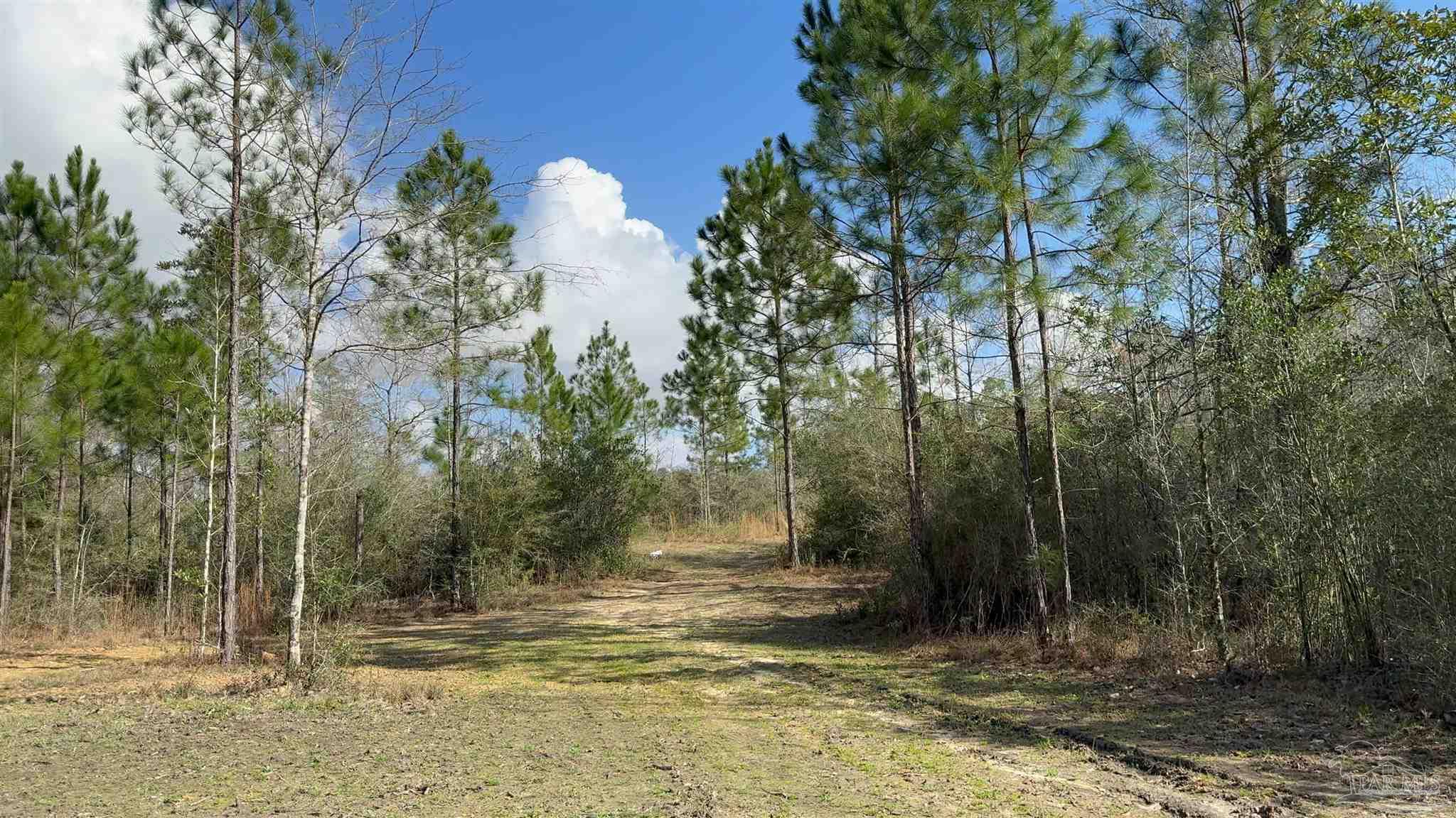 main property photo 13