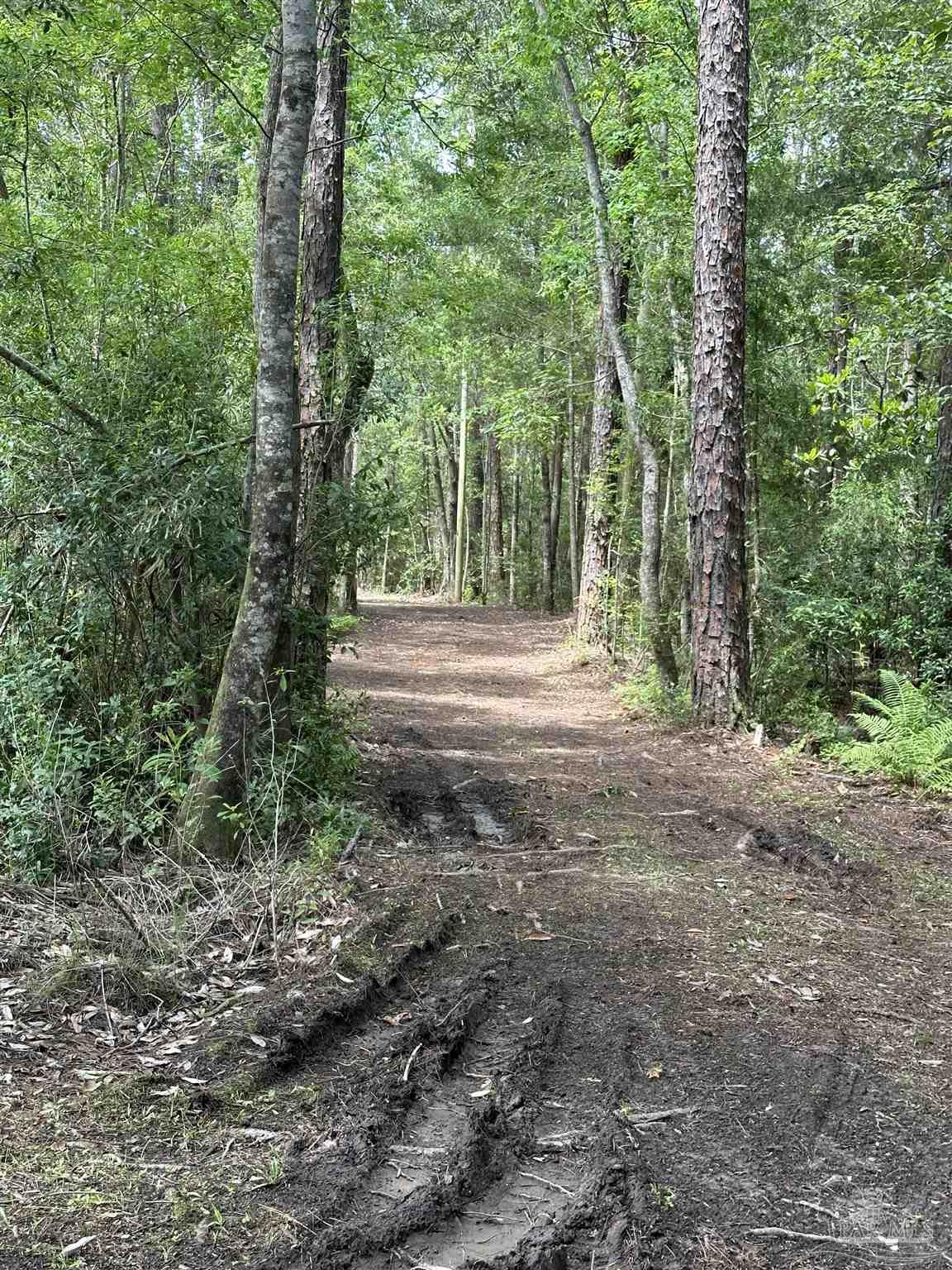 main property photo 17