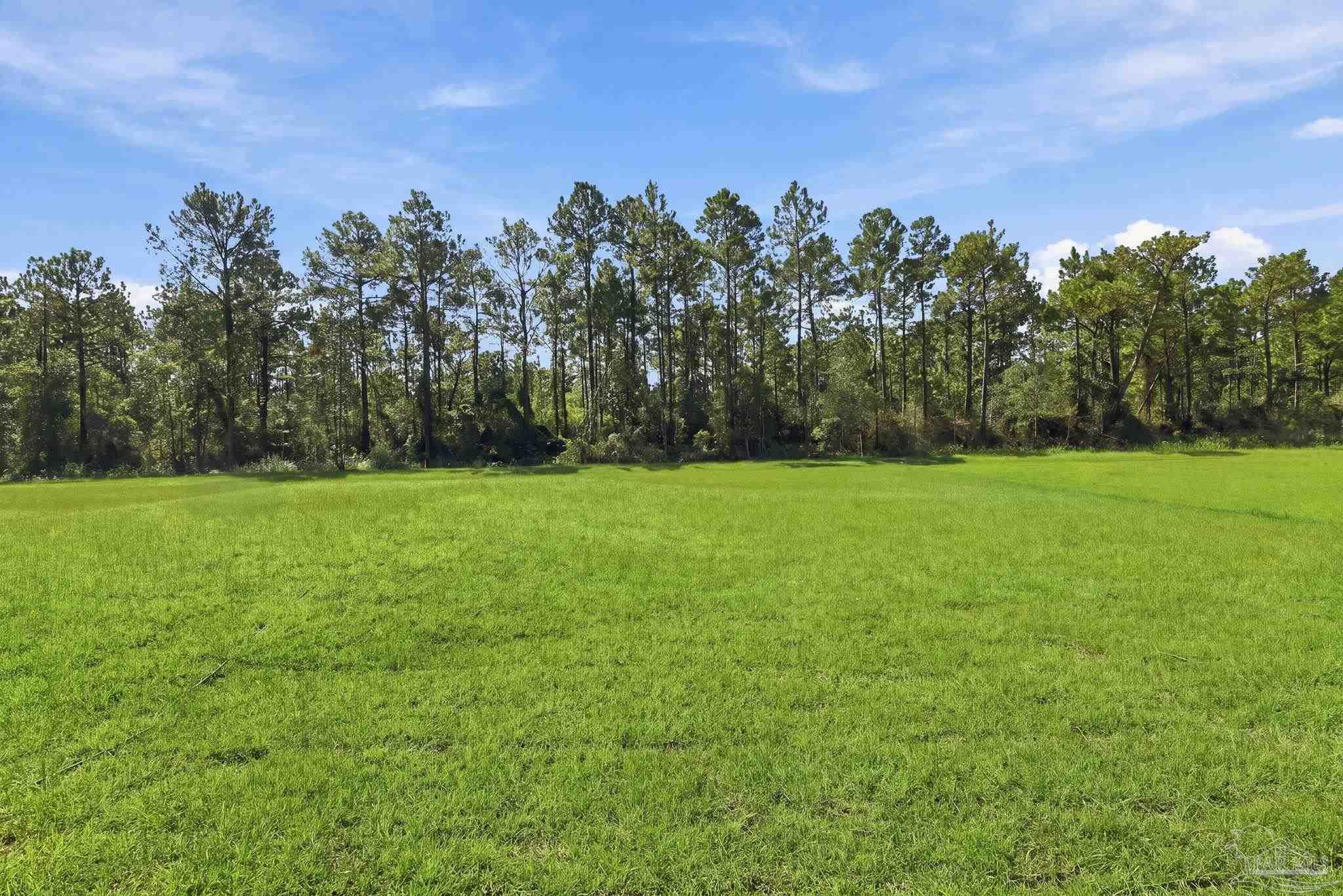 main property photo 51