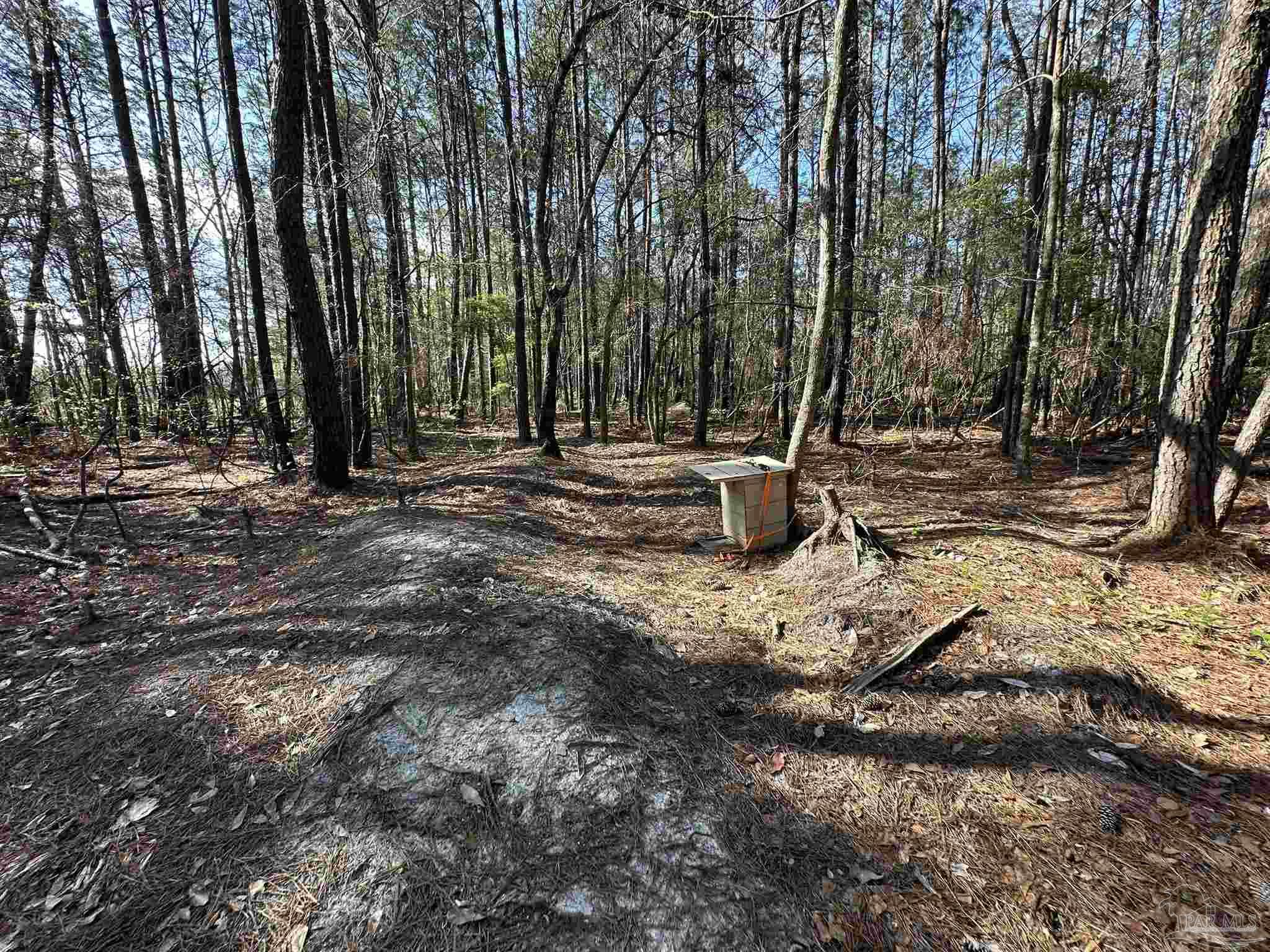main property photo 12