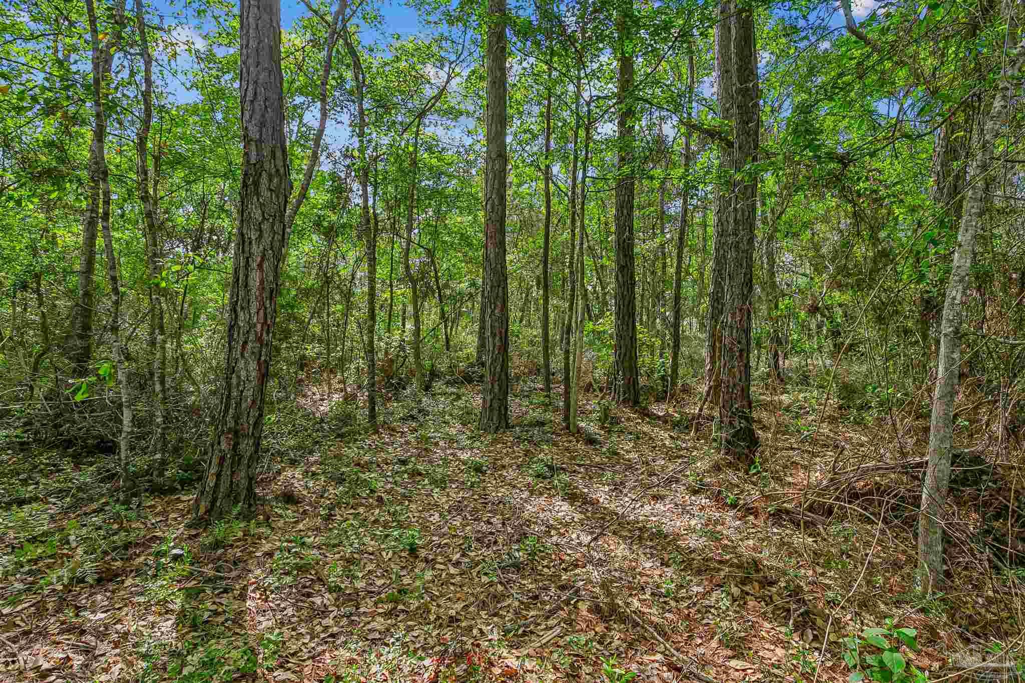 main property photo 54