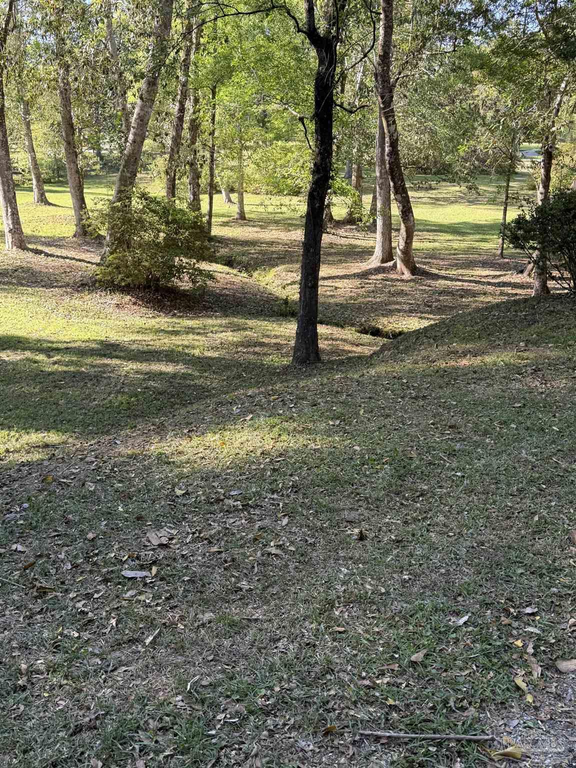 main property photo 61