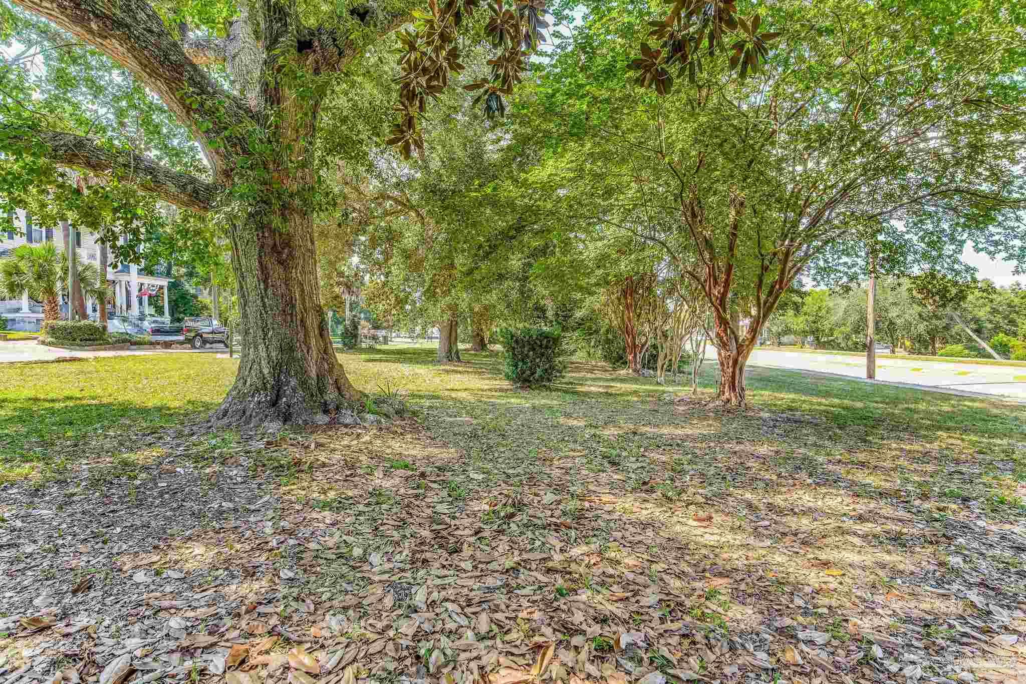 main property photo 58