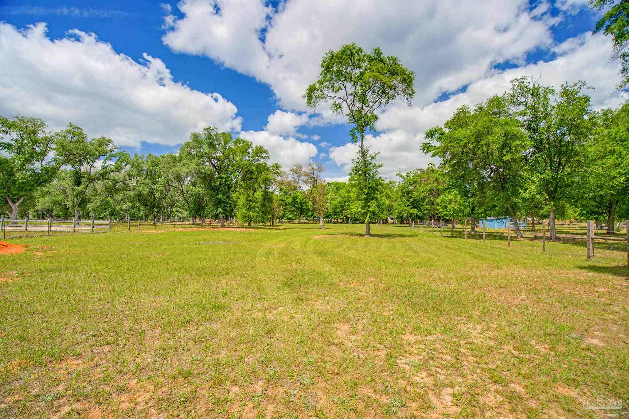 main property photo 54