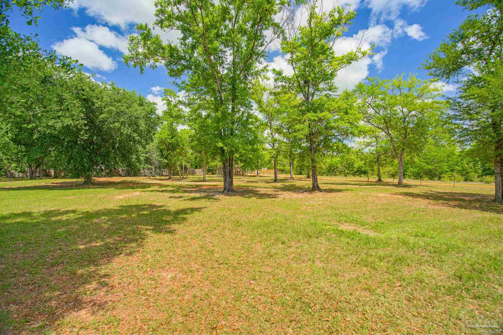 main property photo 58