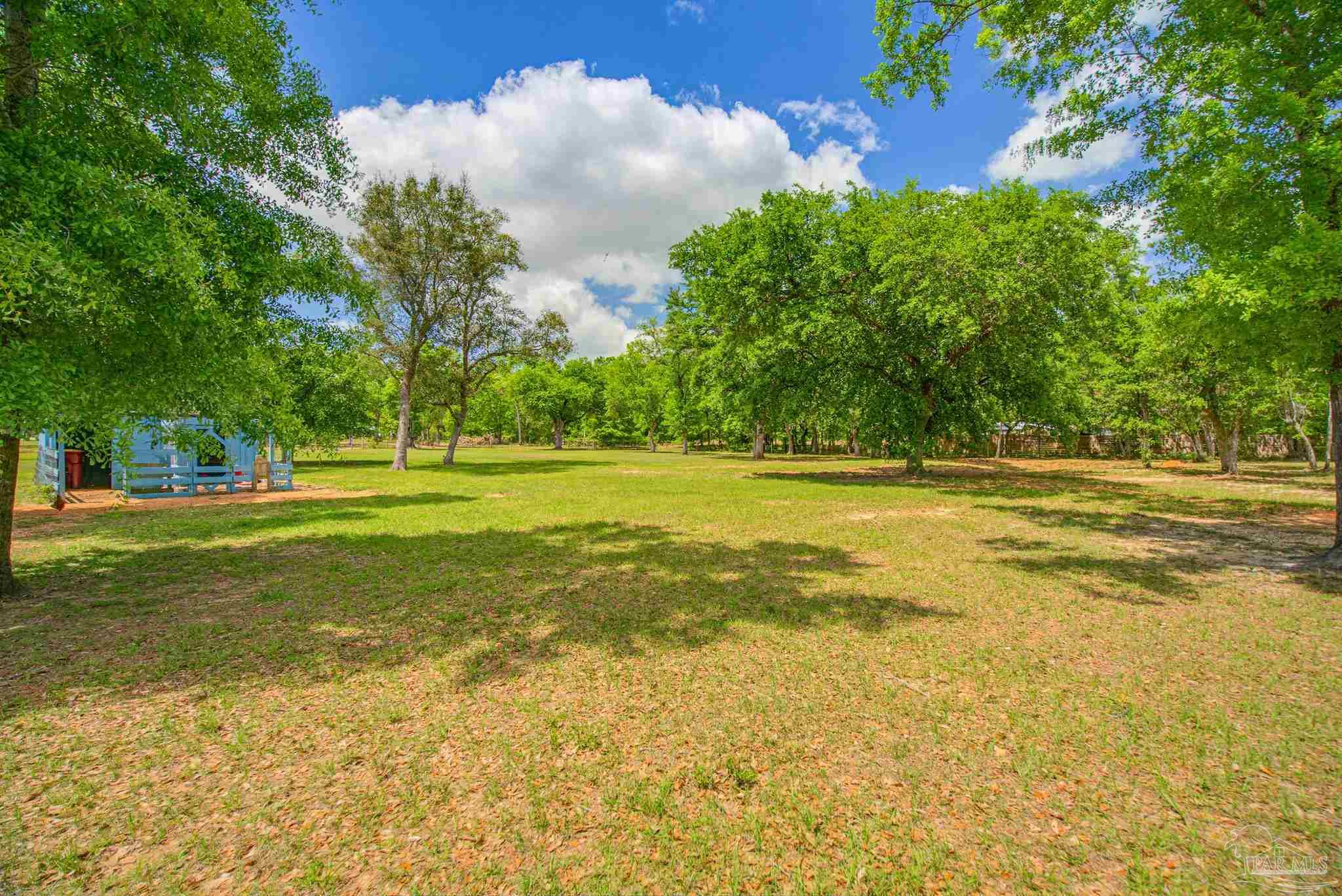 main property photo 59