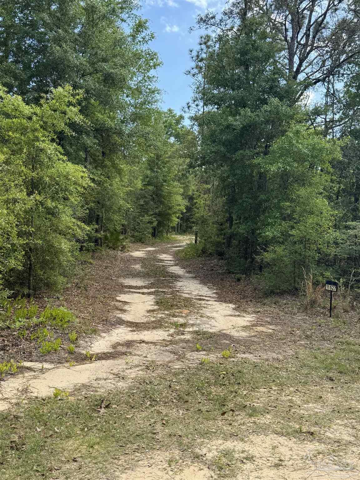 main property photo 4