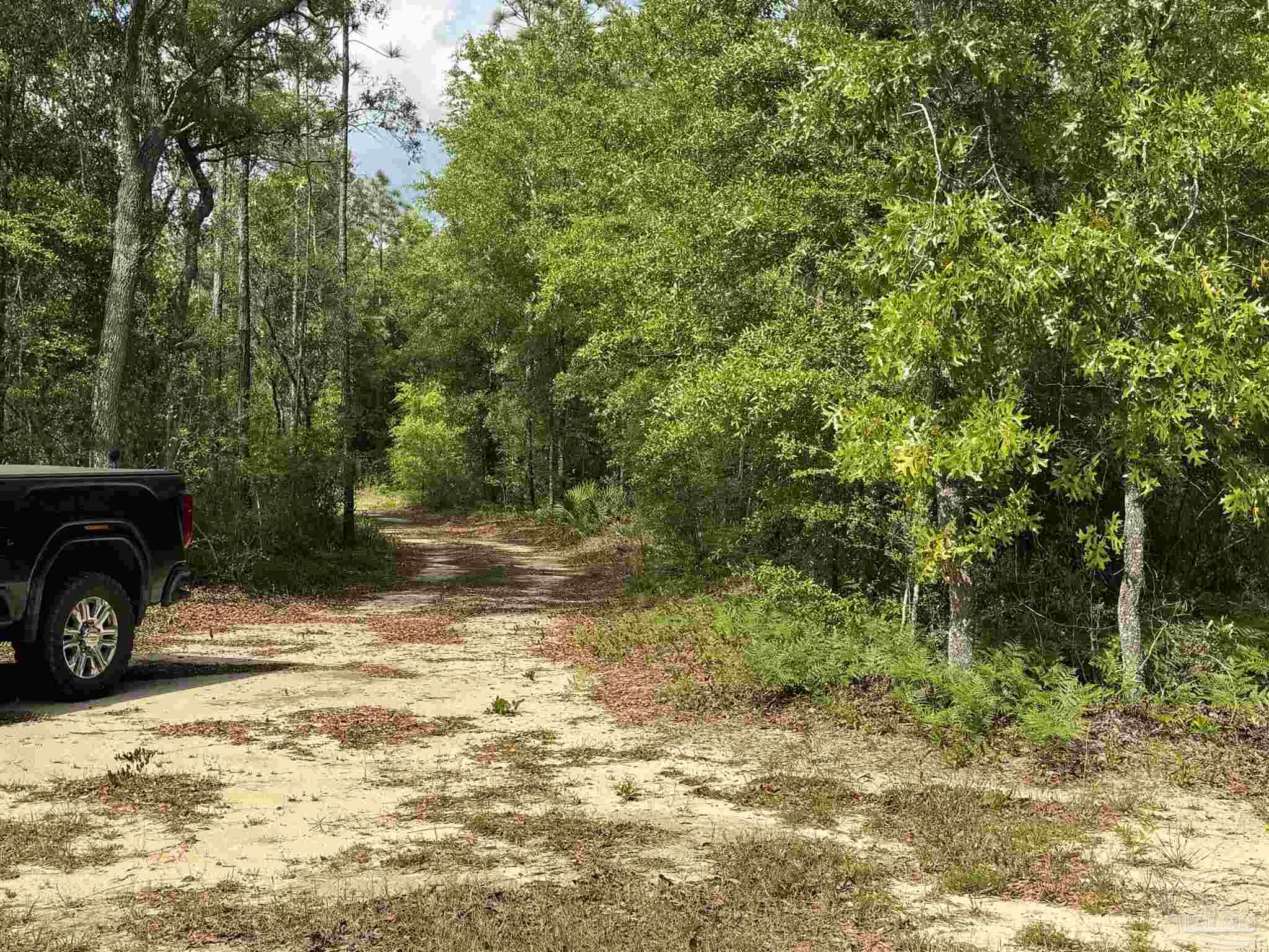 main property photo 5