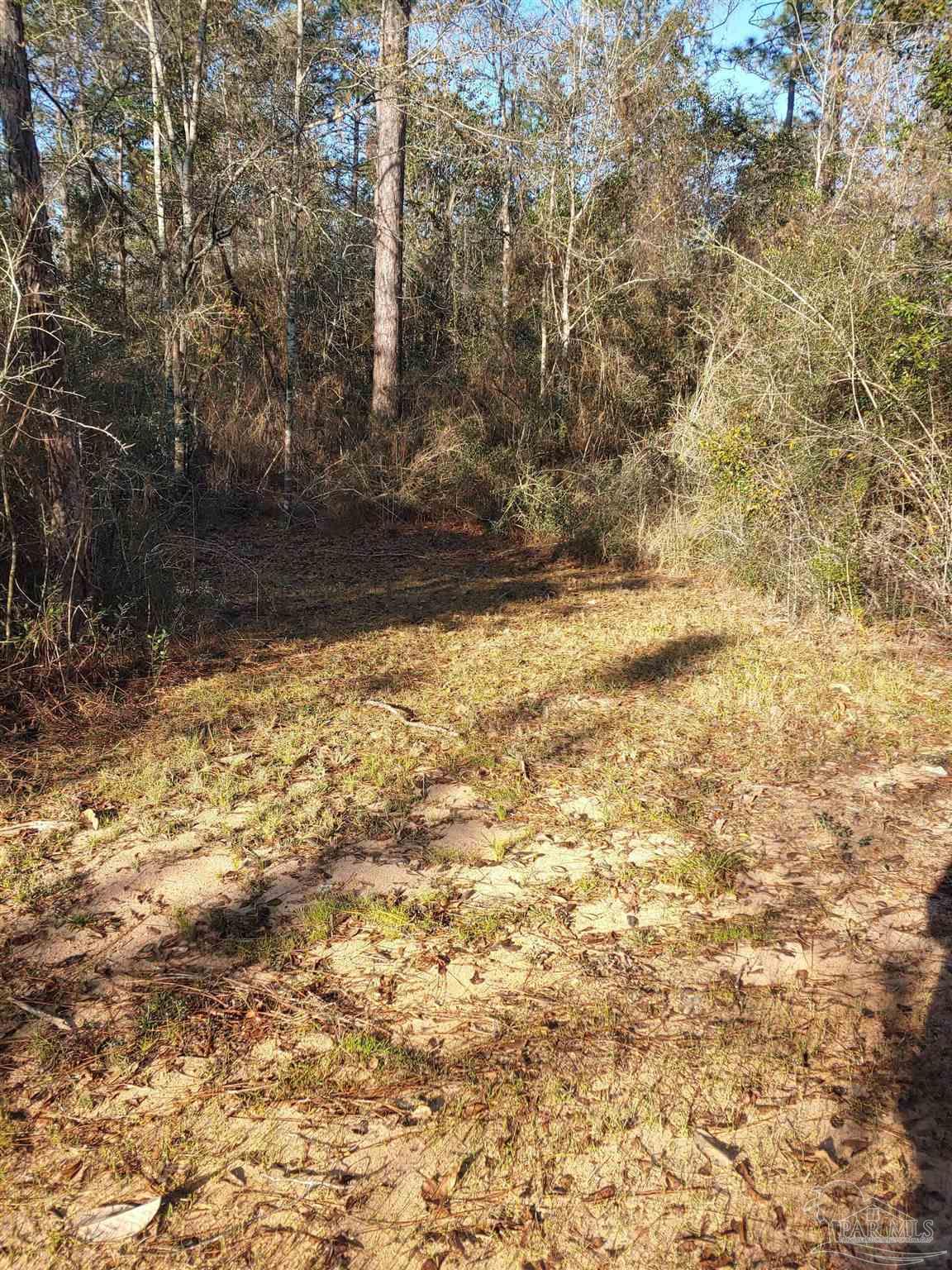 main property photo 9