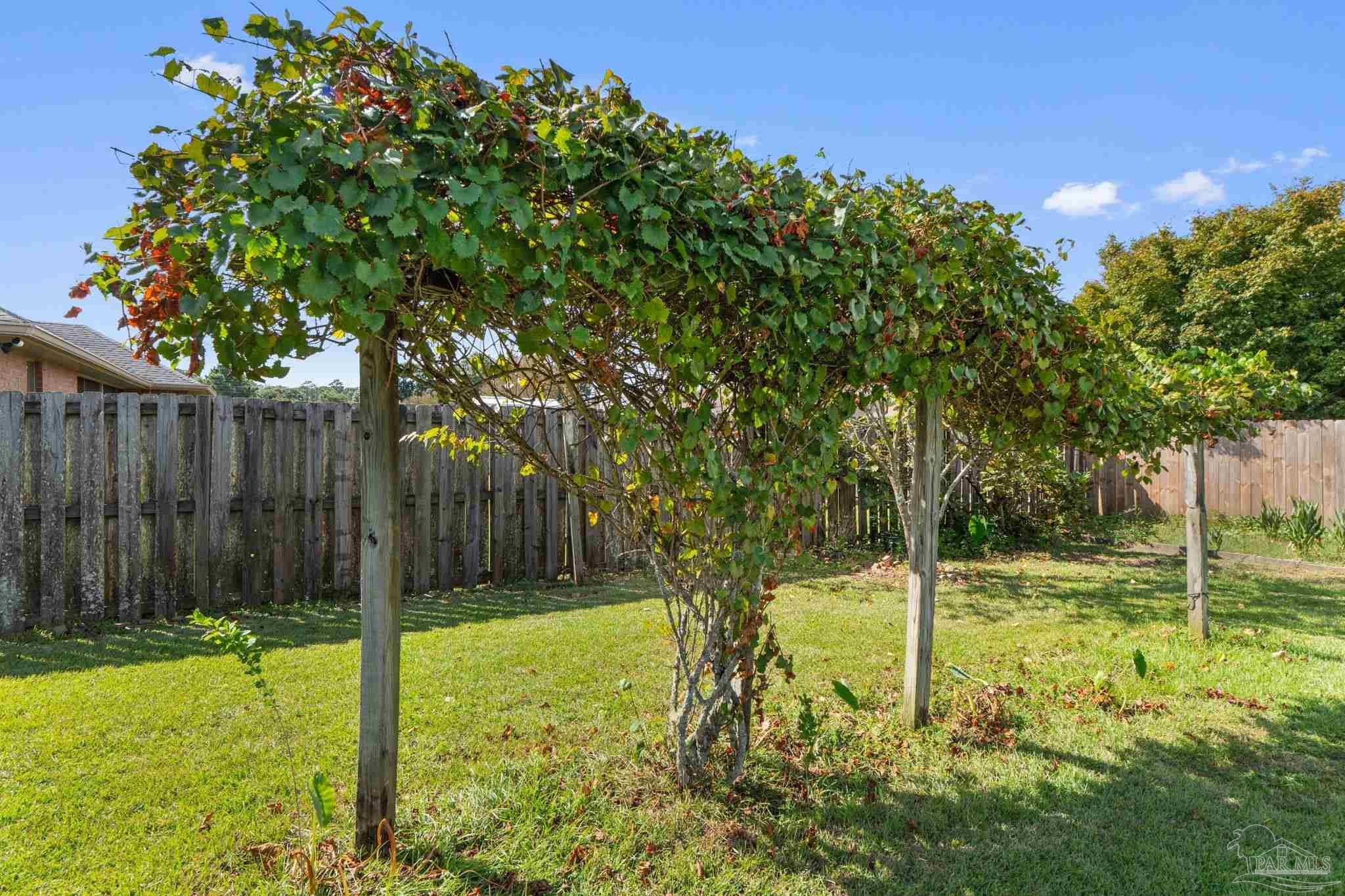 main property photo 48