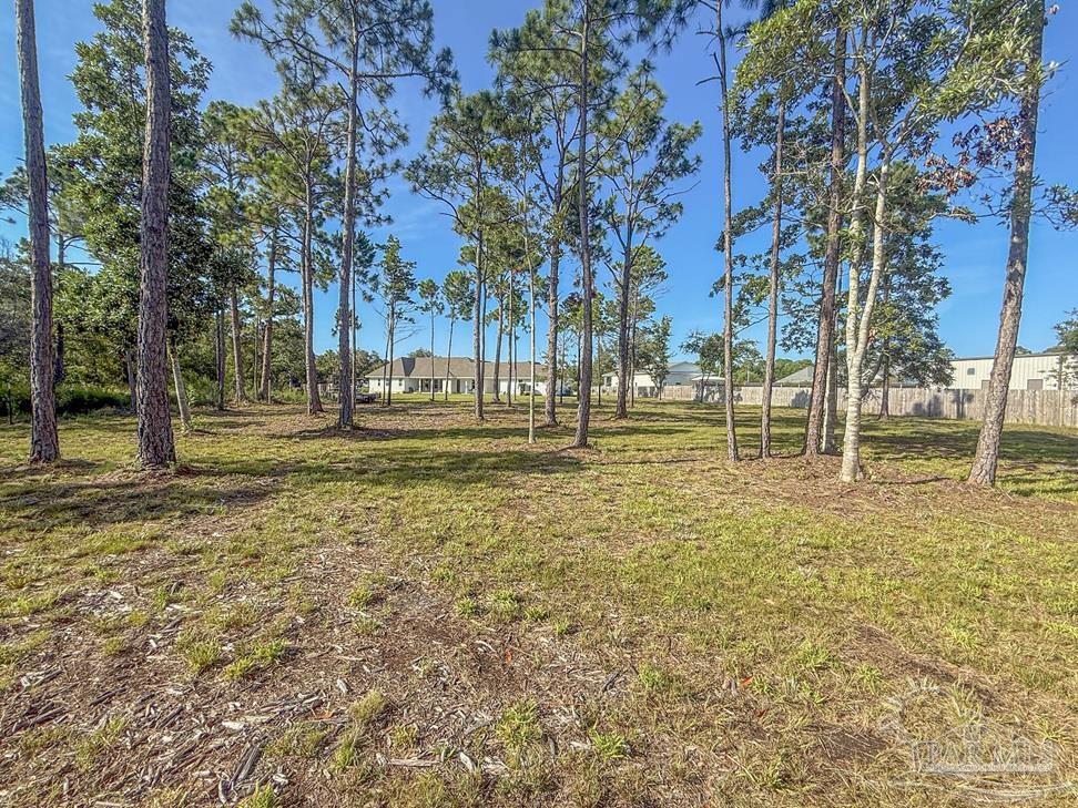 main property photo 65