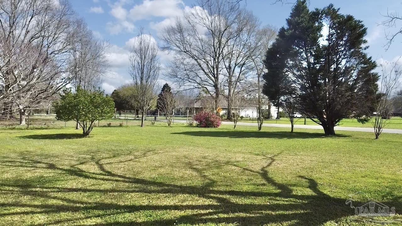 main property photo 56