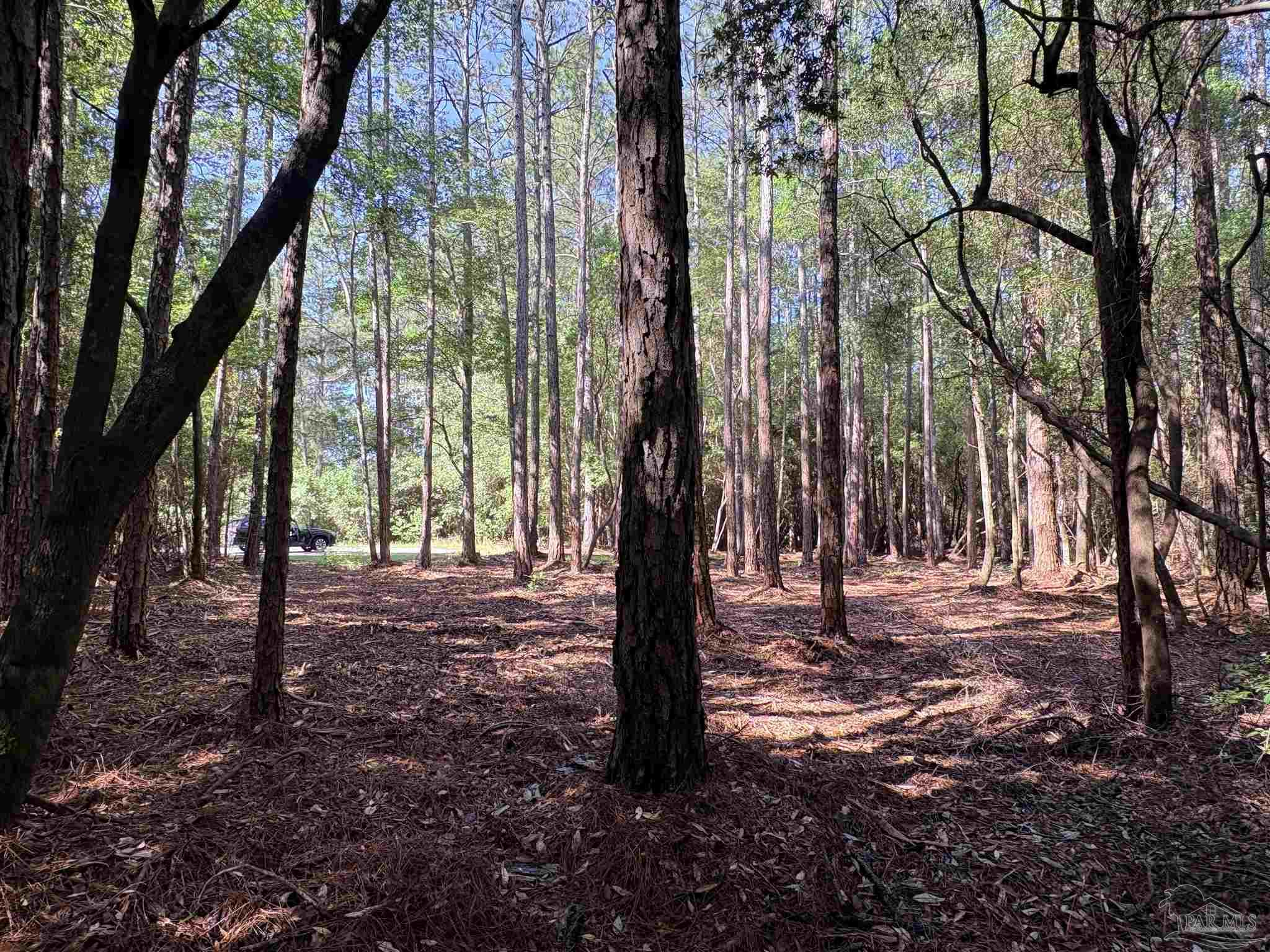 main property photo 8