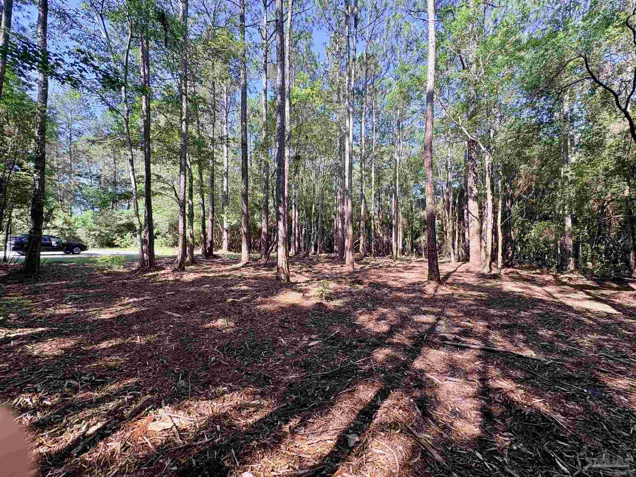 main property photo 9