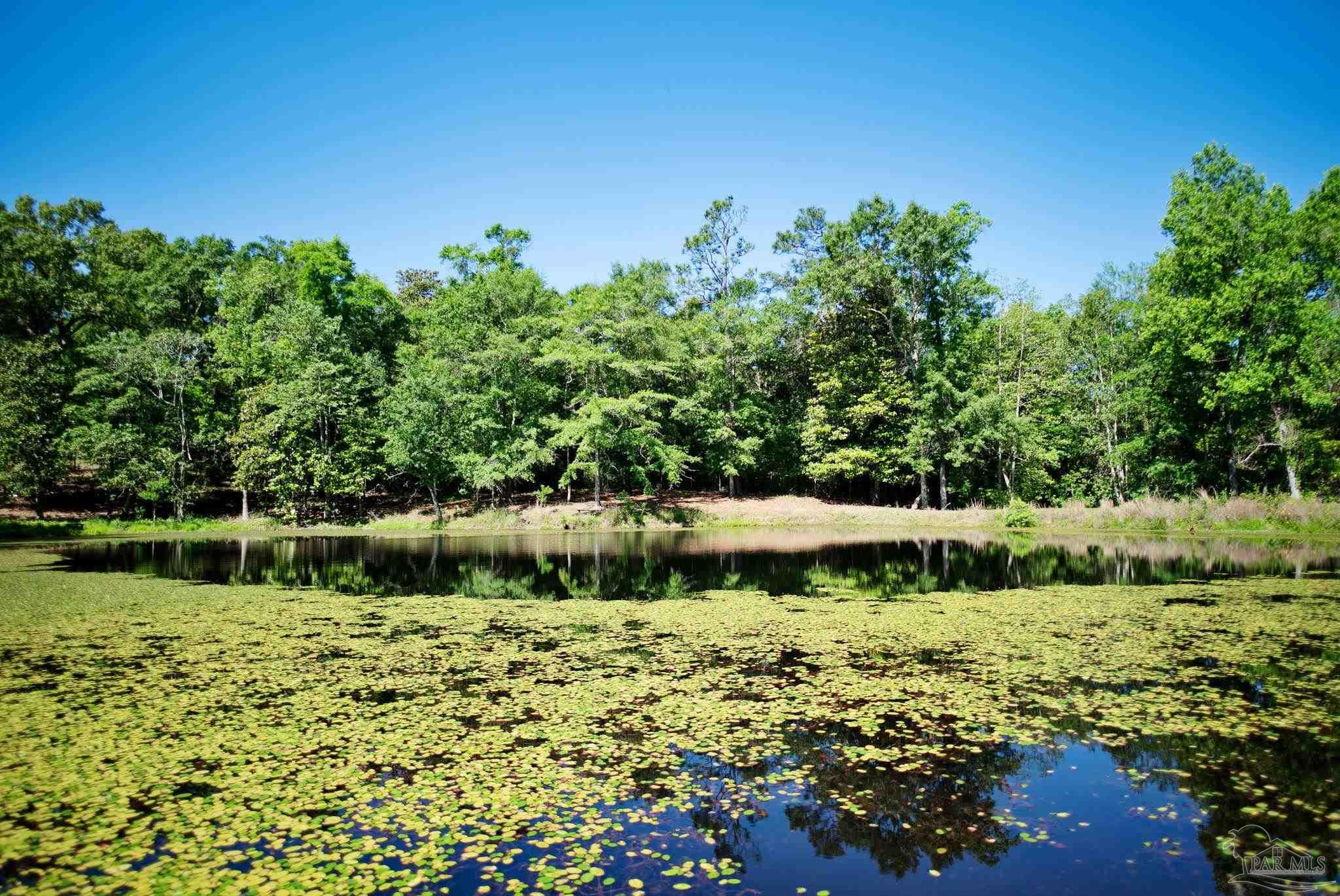main property photo 50