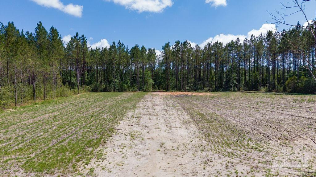 main property photo 36