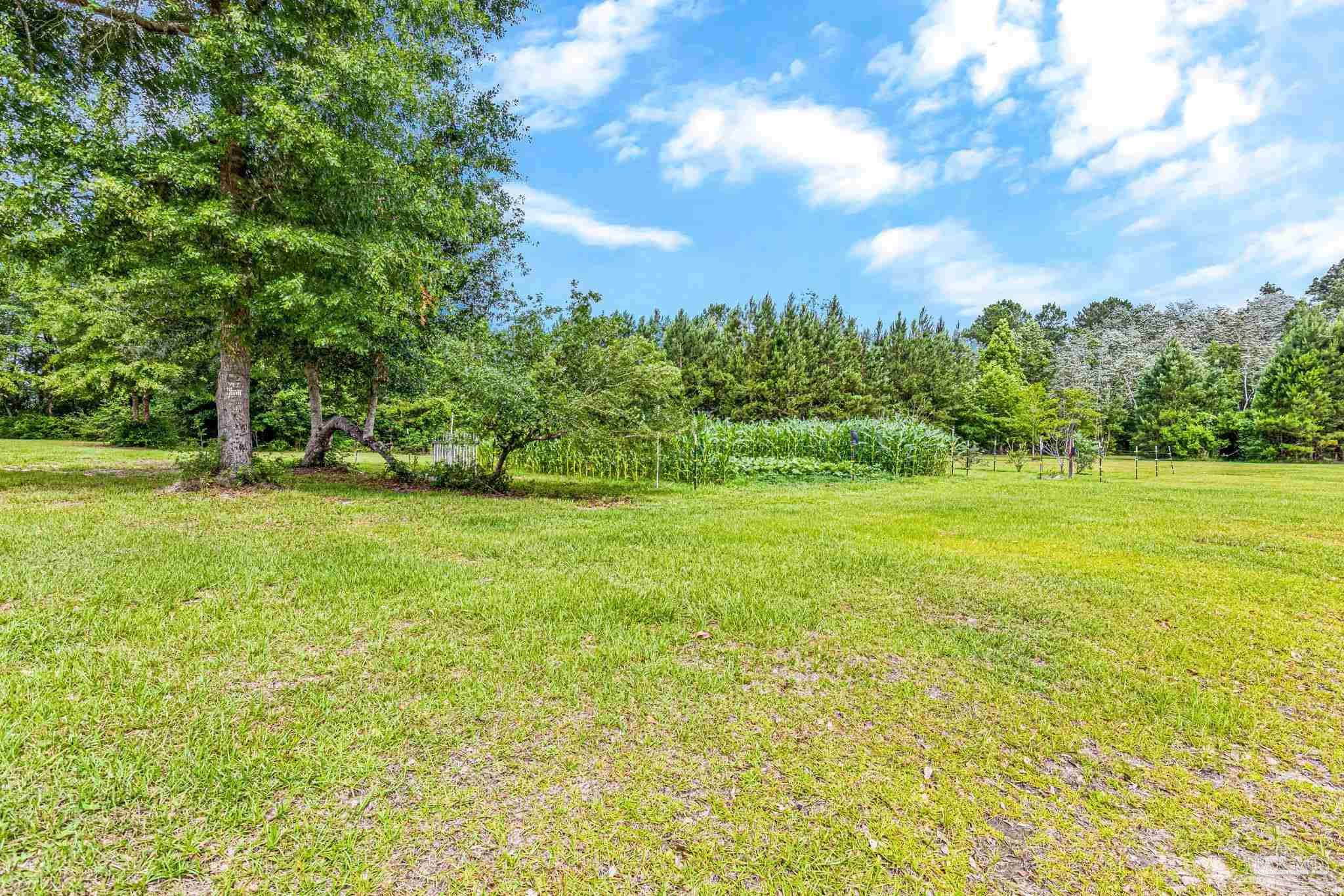 main property photo 44