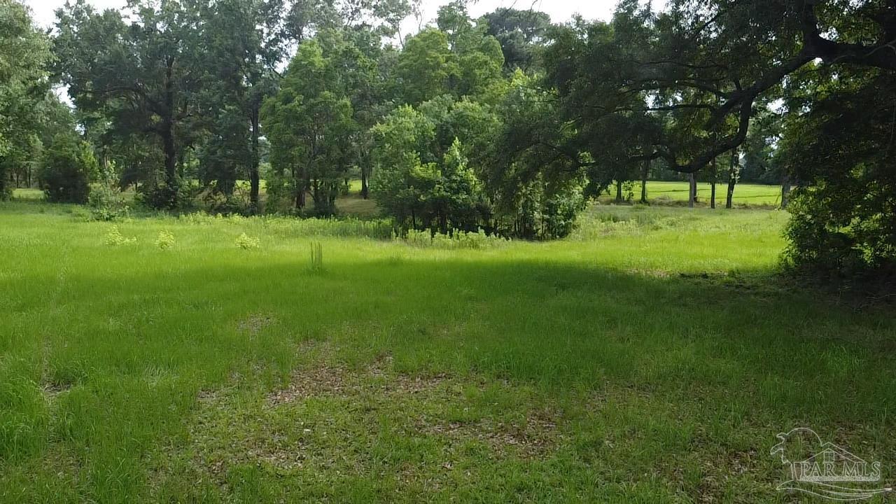 main property photo 58