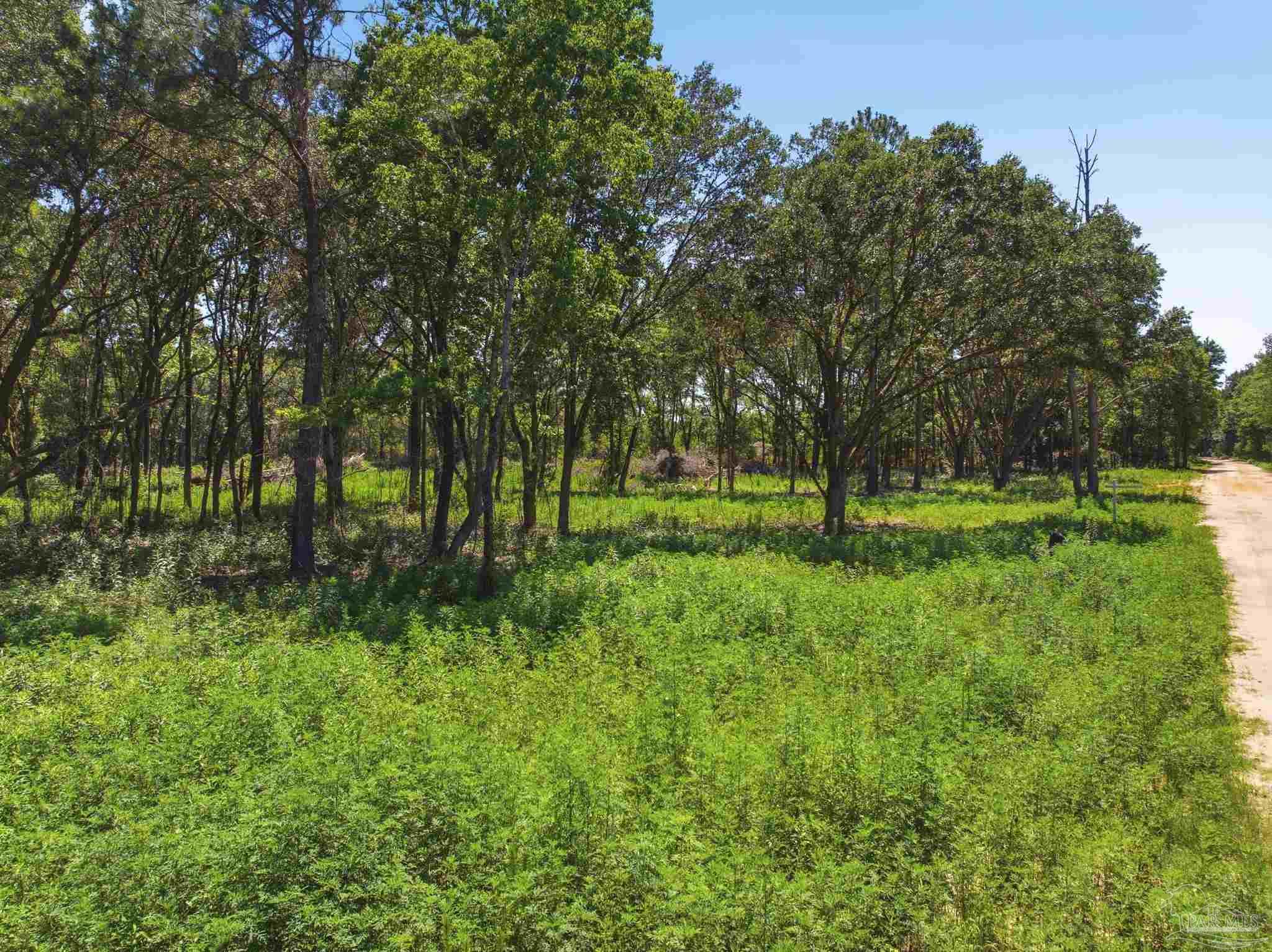 main property photo 14