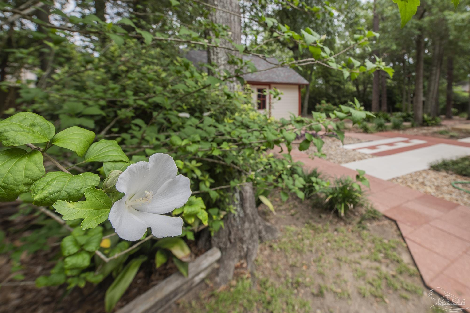 main property photo 63