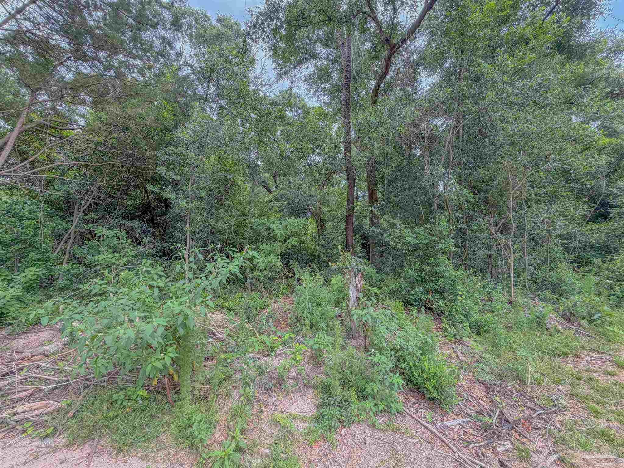 main property photo 7