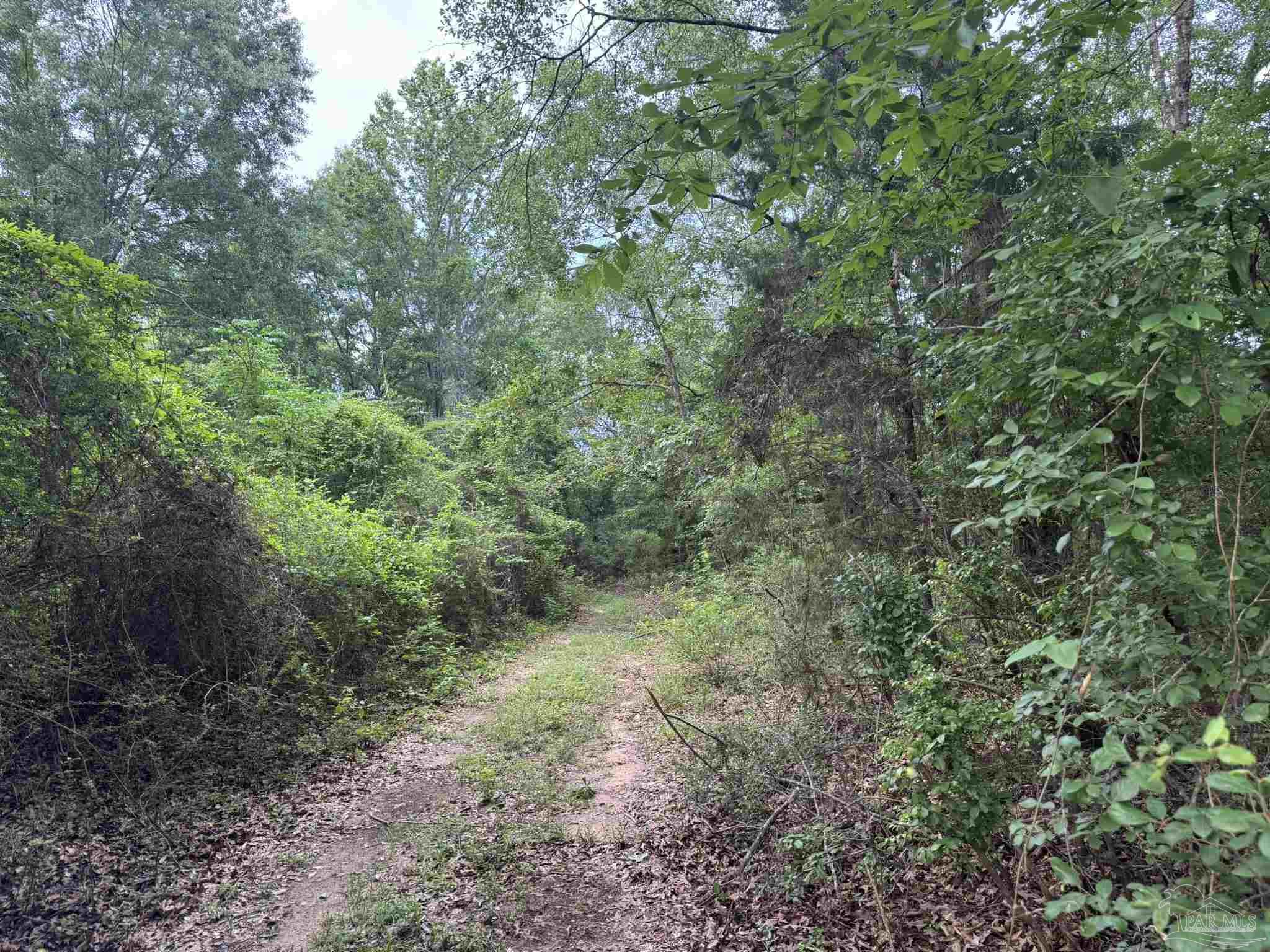 main property photo 11