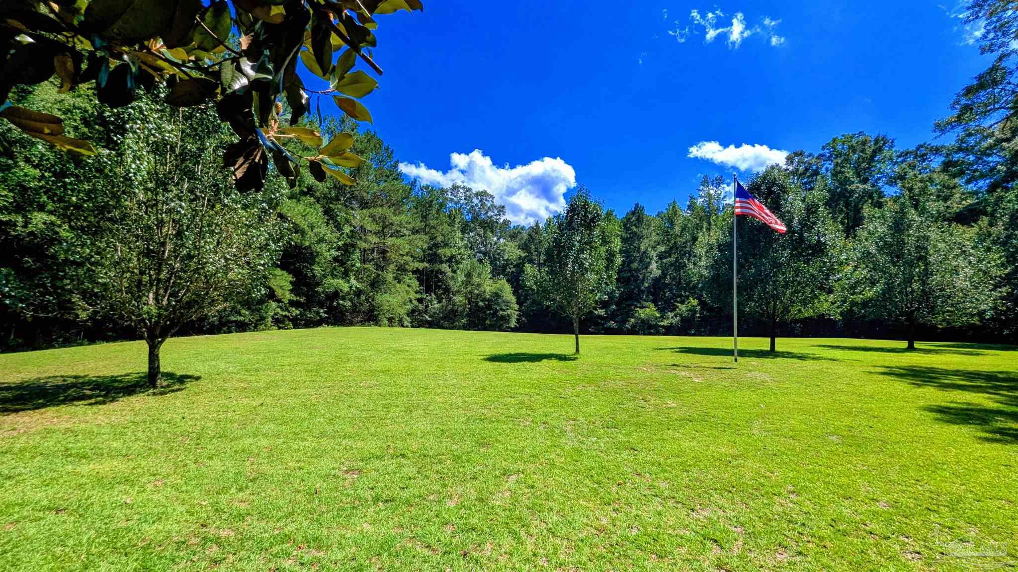 main property photo 67