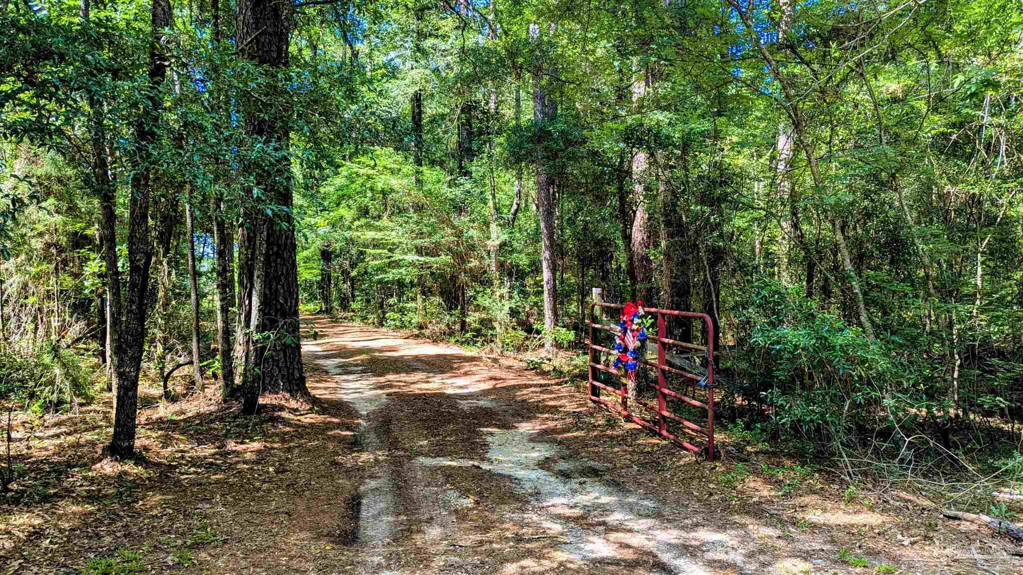 main property photo 70
