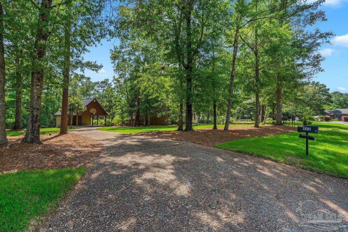 main property photo 53