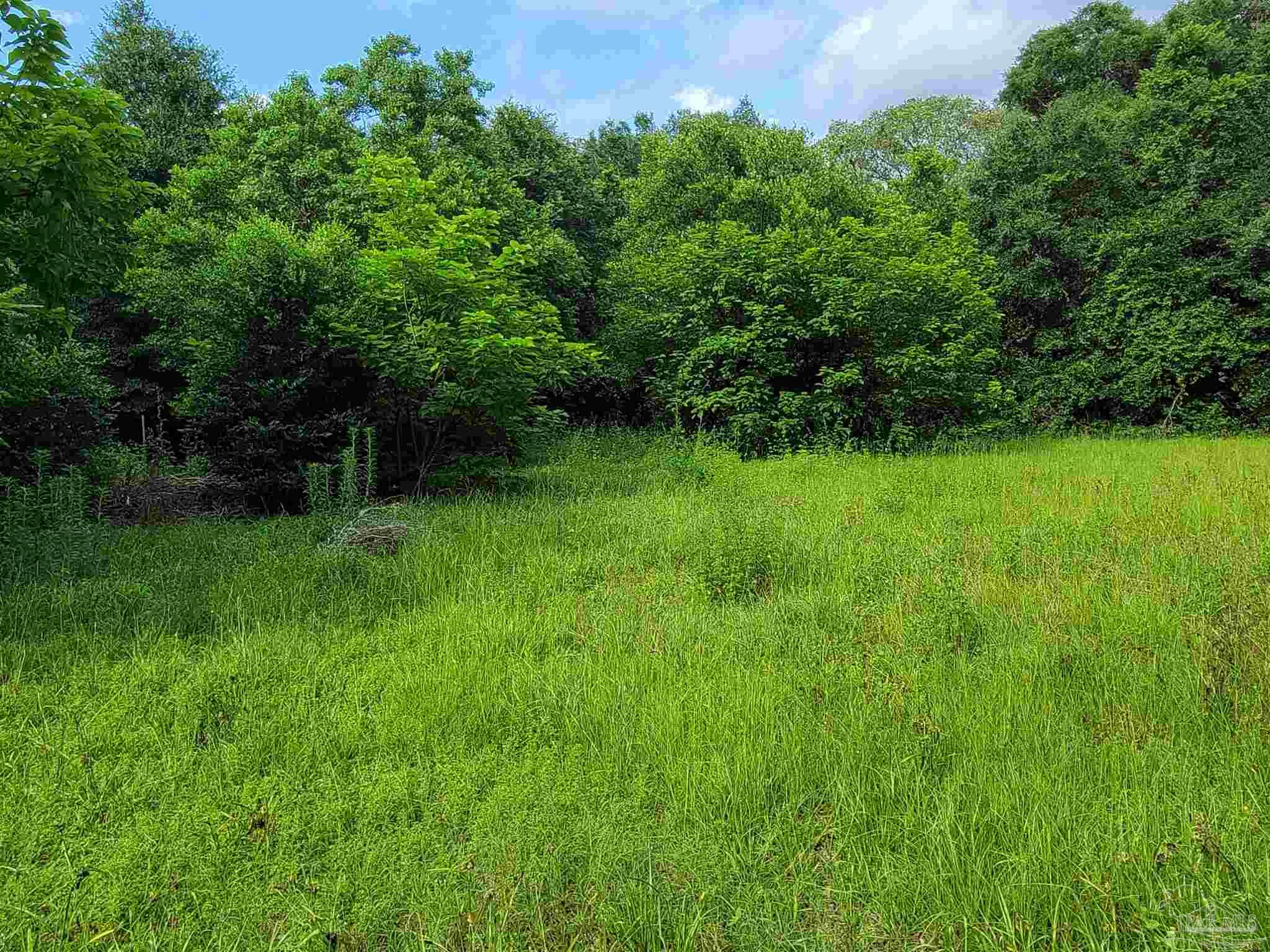 main property photo 49