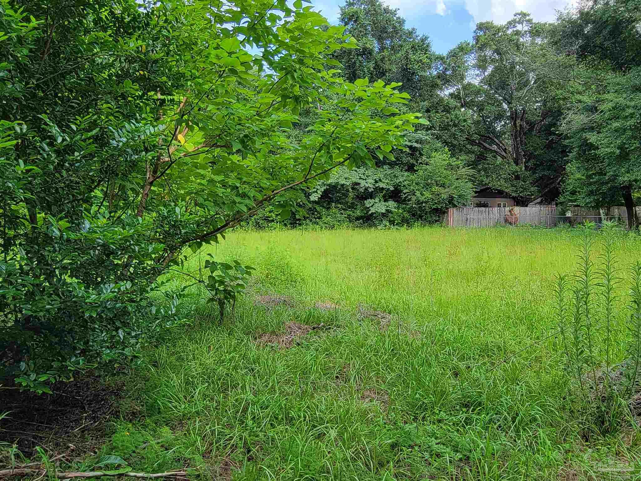 main property photo 52