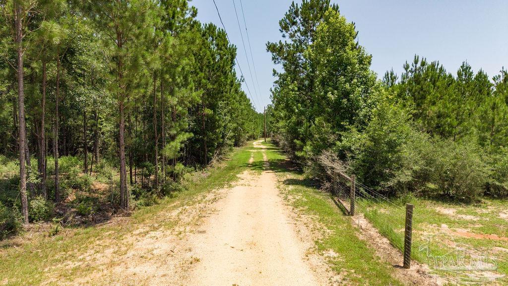 main property photo 41