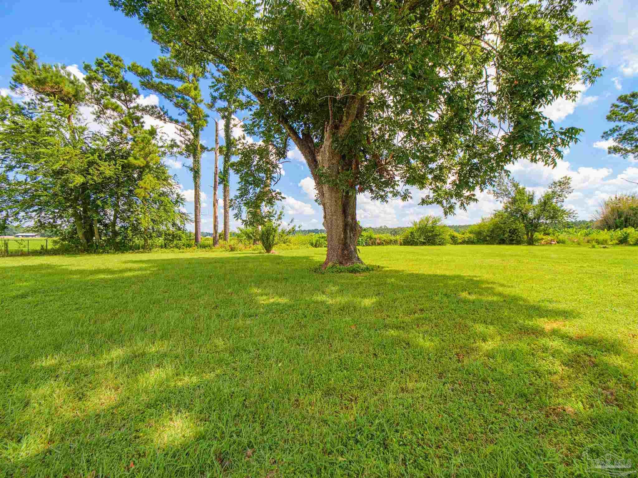 main property photo 62